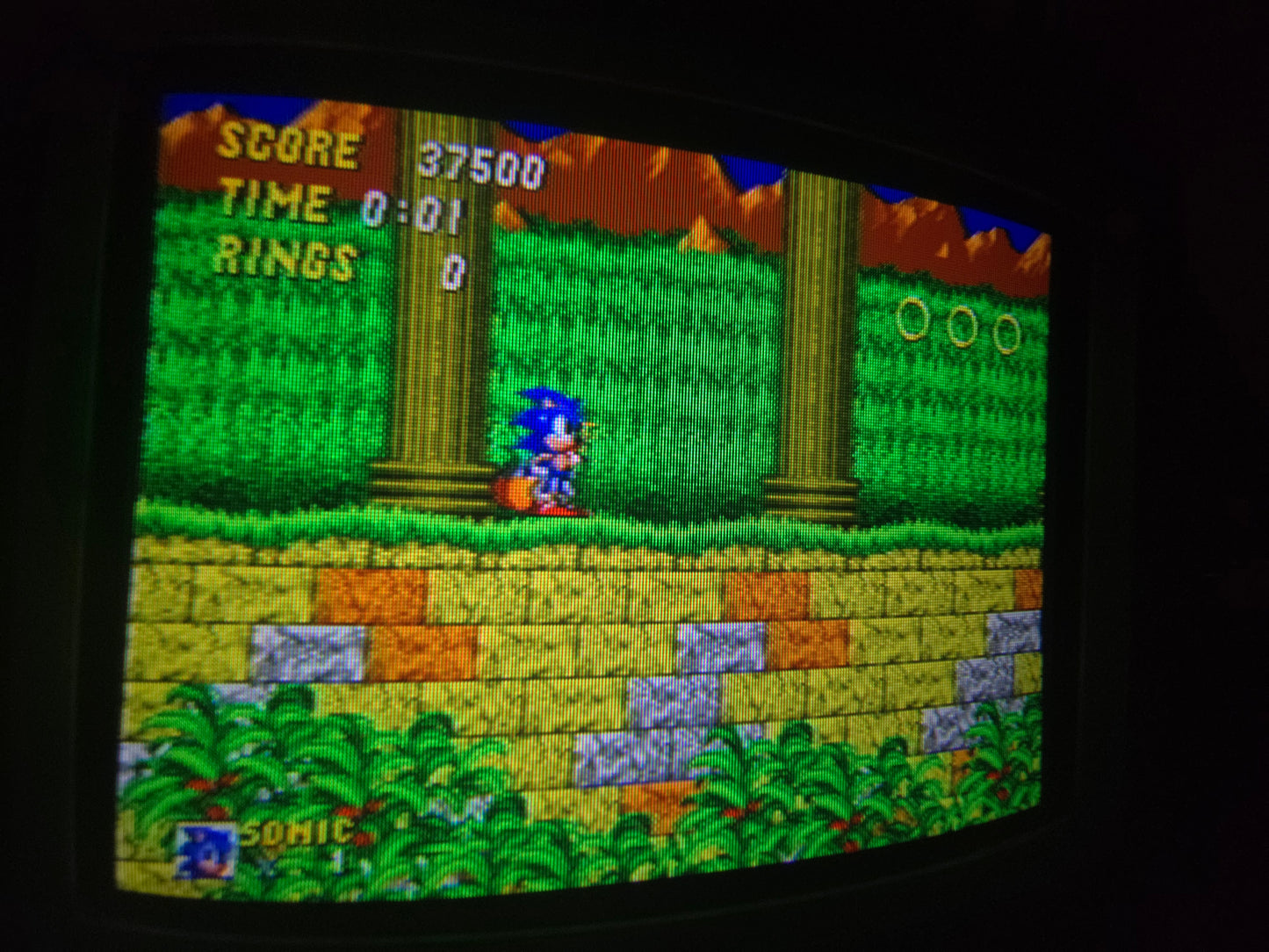 Sony PVM 8220