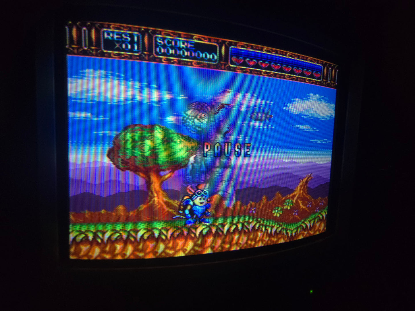 Sony PVM 8220