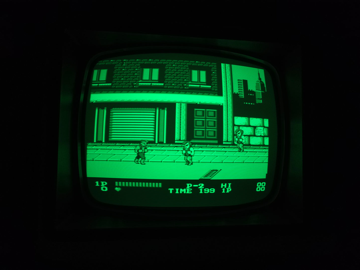 Zenith Monochrome (Green) Monitor W/ Composite ZVM-121